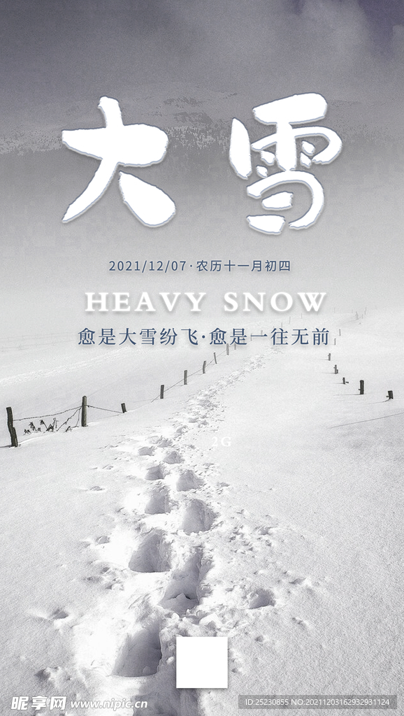 二十四节气大雪海报