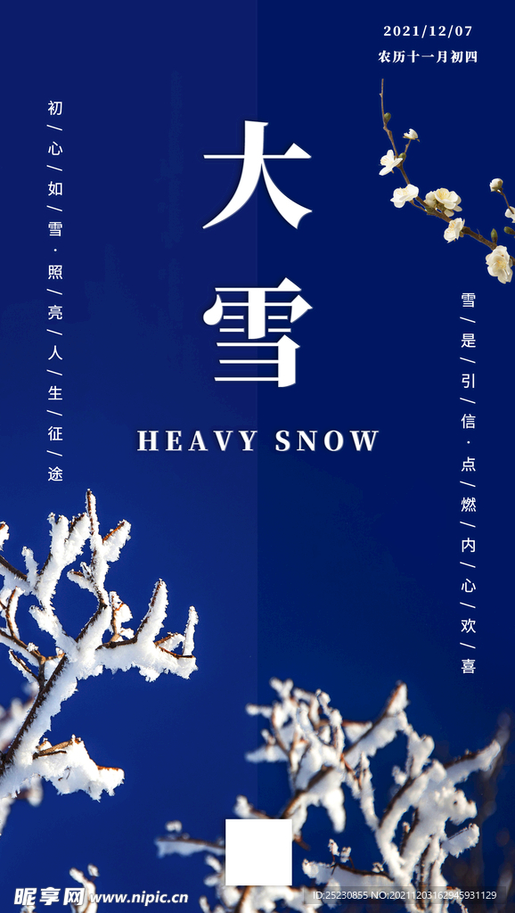 二十四节气大雪海报