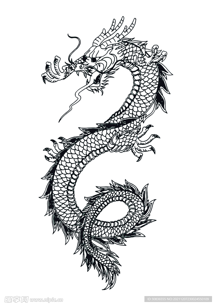 龙