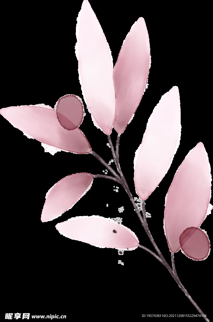 粉色花型叶子植物