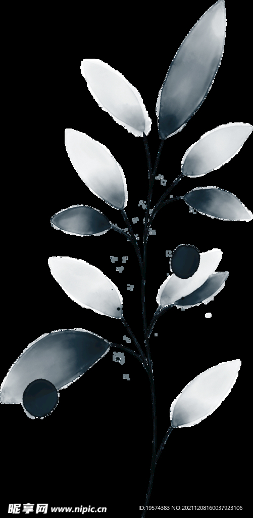 粉色花型叶子植物