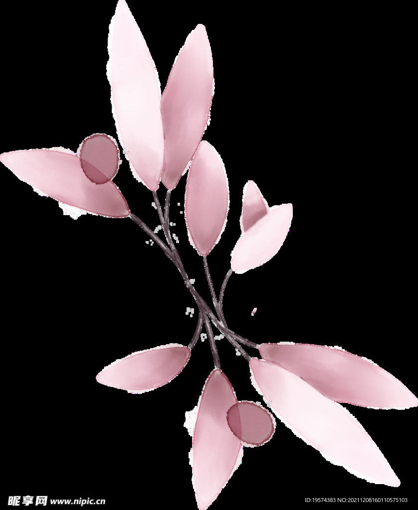 粉色花型叶子植物