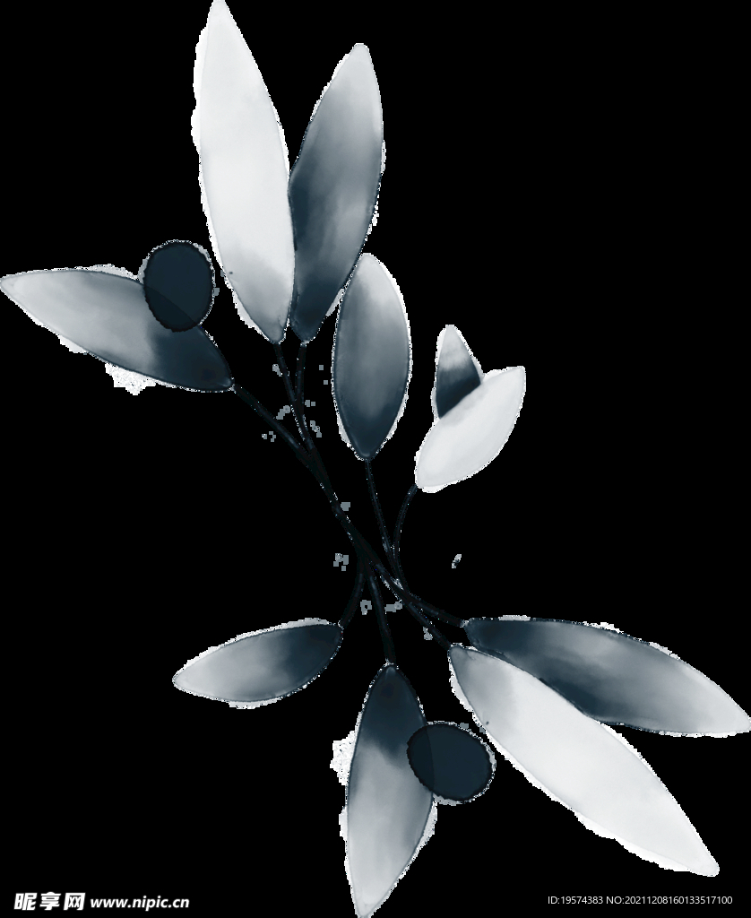 青色花型叶子植物