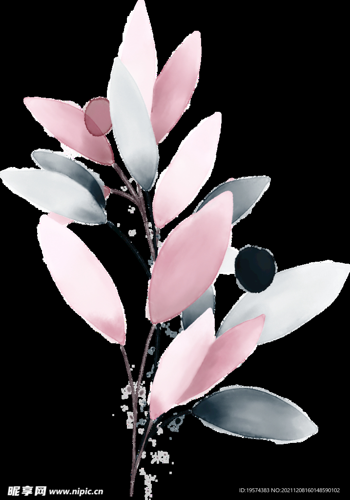 粉色花型叶子植物