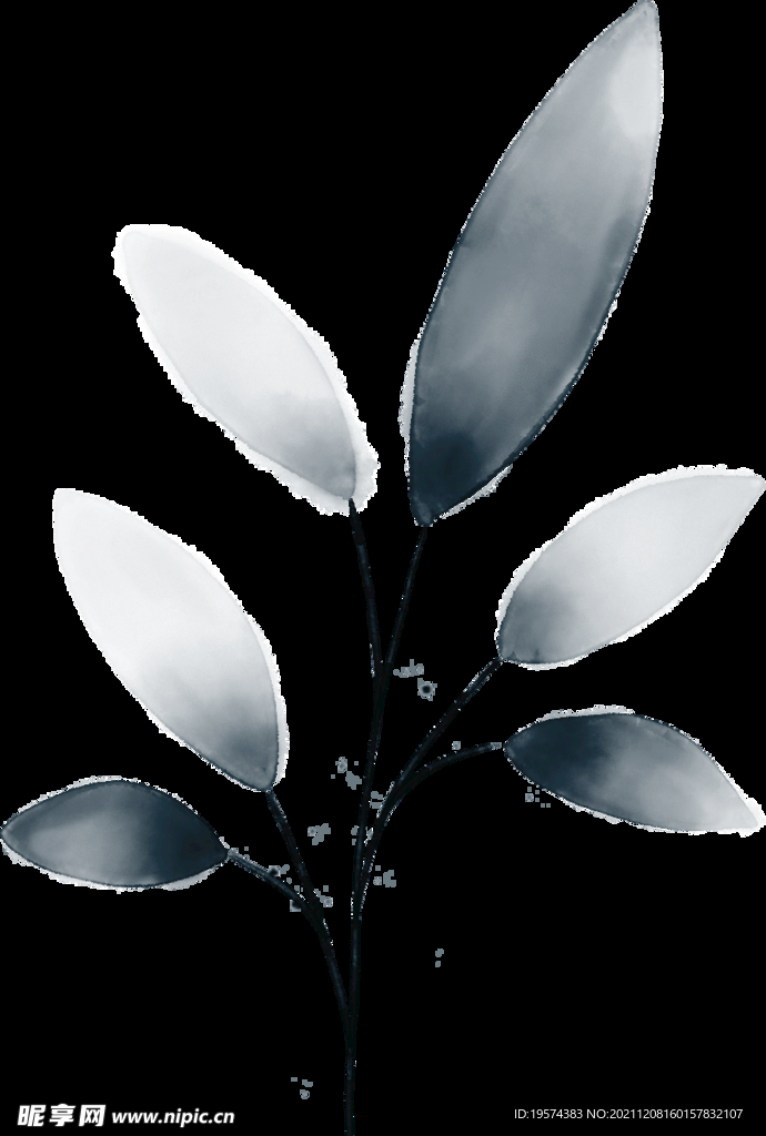 粉色花型叶子植物