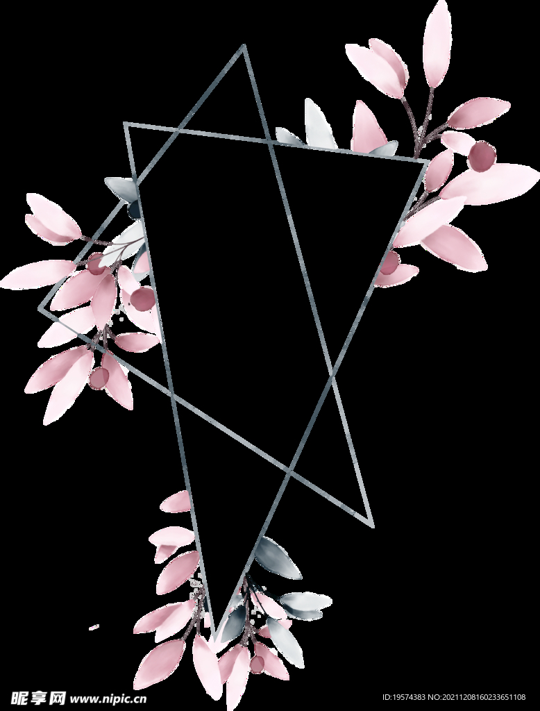 粉色花型叶子植物