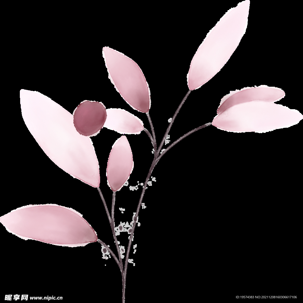 粉色花型叶子植物