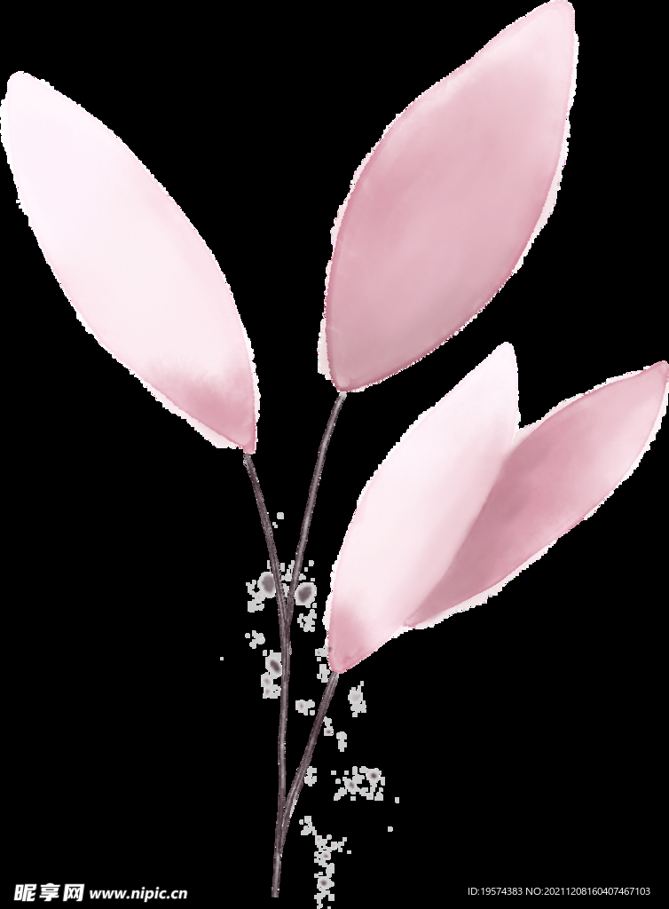 粉色花型叶子植物