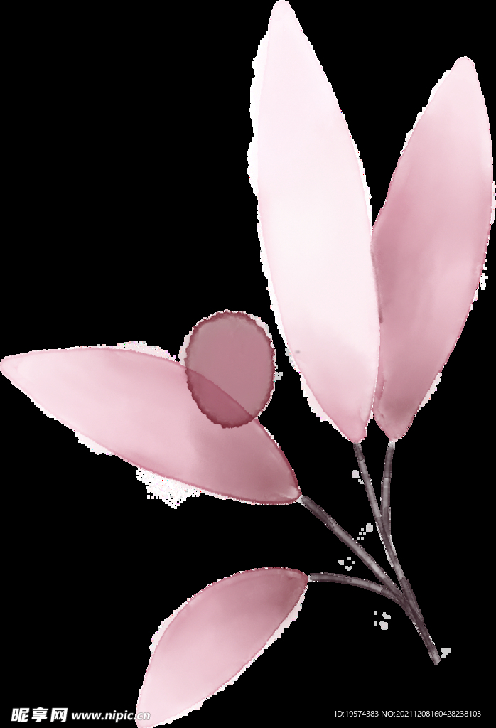 粉色花型叶子植物