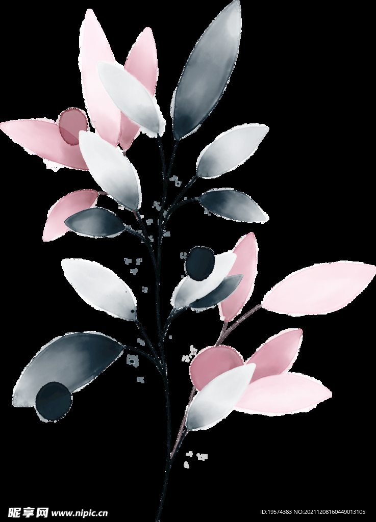 粉色花型叶子植物