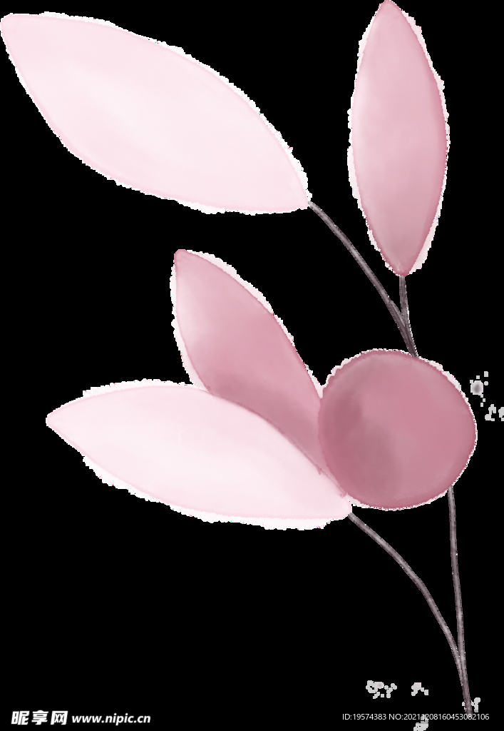 粉色花型叶子植物