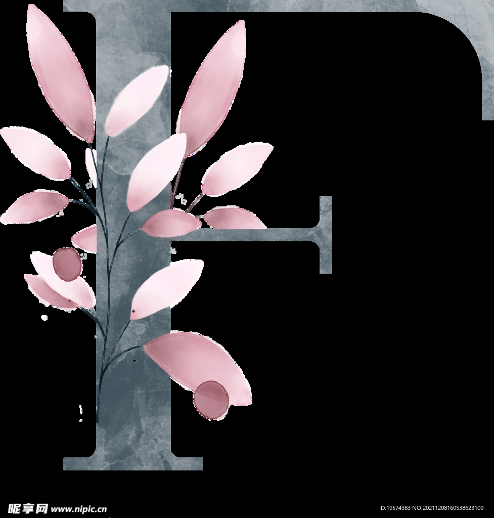 粉色花型叶子植物字母F