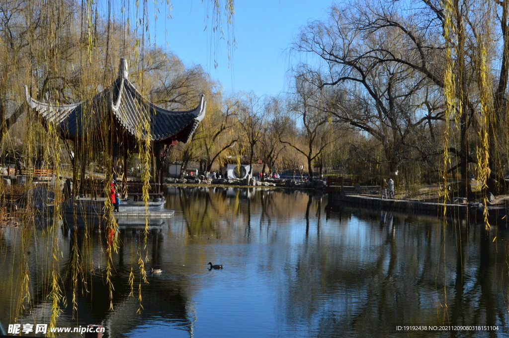公园风景 