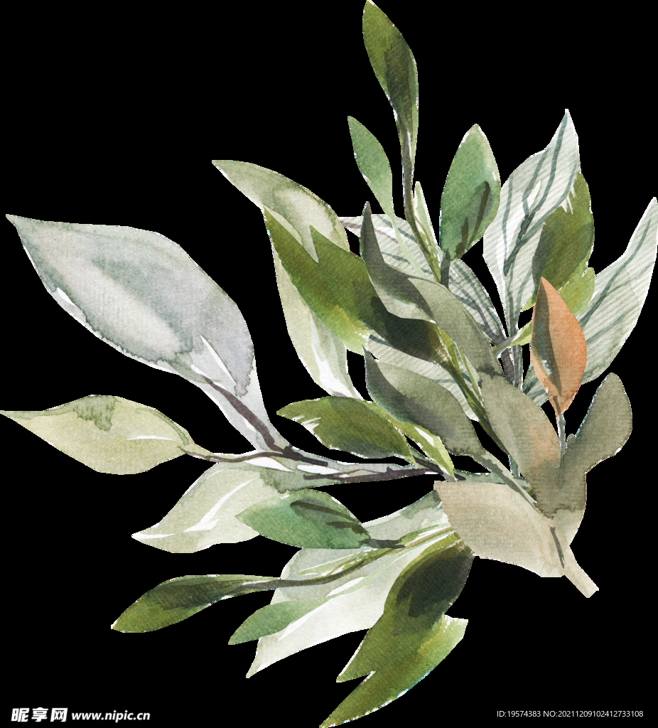 橘黄色阳光花卉贺卡婚礼装饰图案