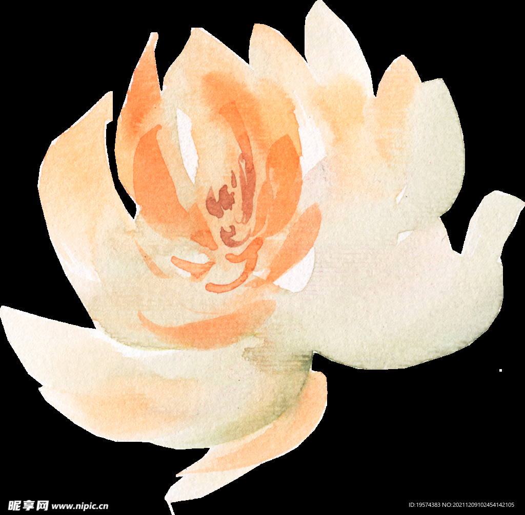 橘黄色阳光花卉贺卡婚礼装饰图案