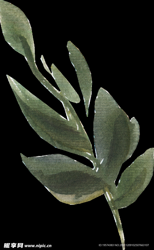 橘黄色阳光花卉贺卡婚礼装饰图案