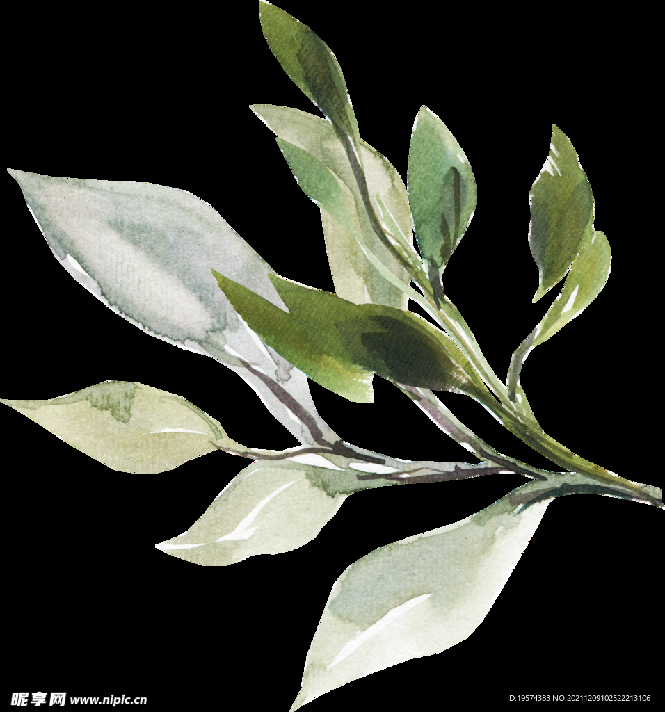 橘黄色阳光花卉贺卡婚礼装饰图案