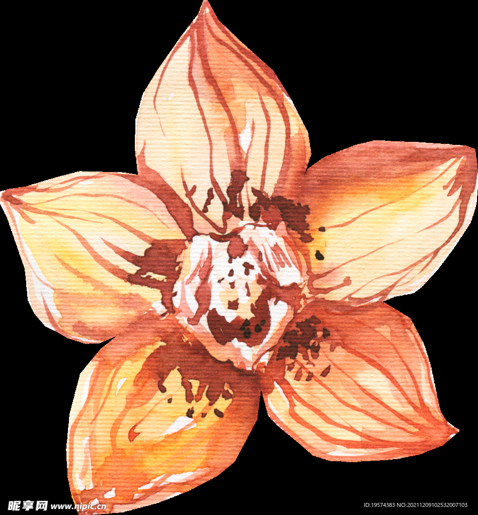 橘黄色阳光花卉贺卡婚礼装饰图案