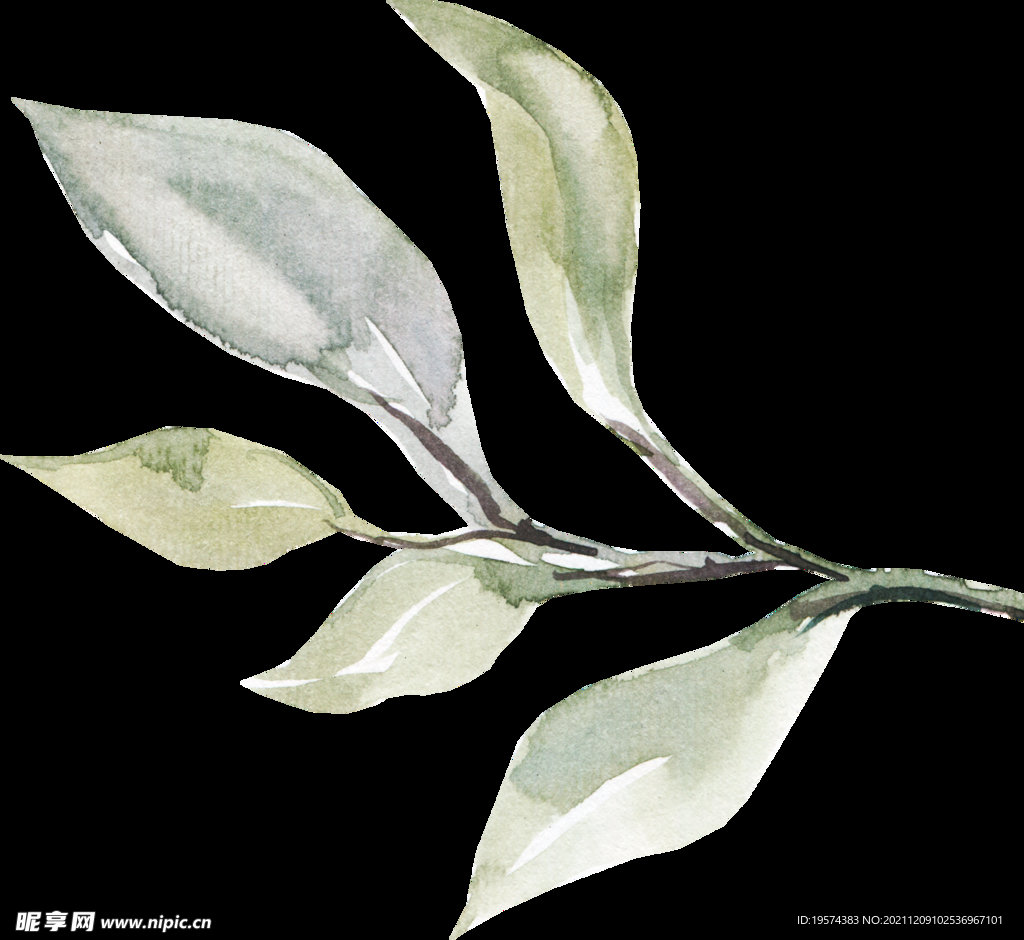 橘黄色阳光花卉贺卡婚礼装饰图案