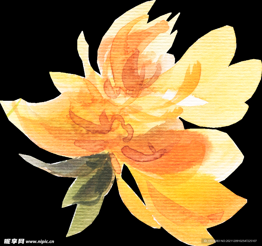 橘黄色阳光花卉贺卡婚礼装饰图案