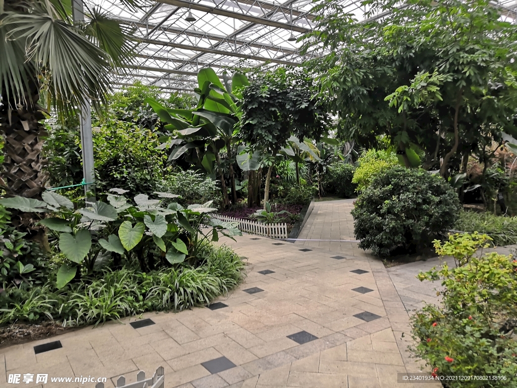 农业科技馆绿植道路