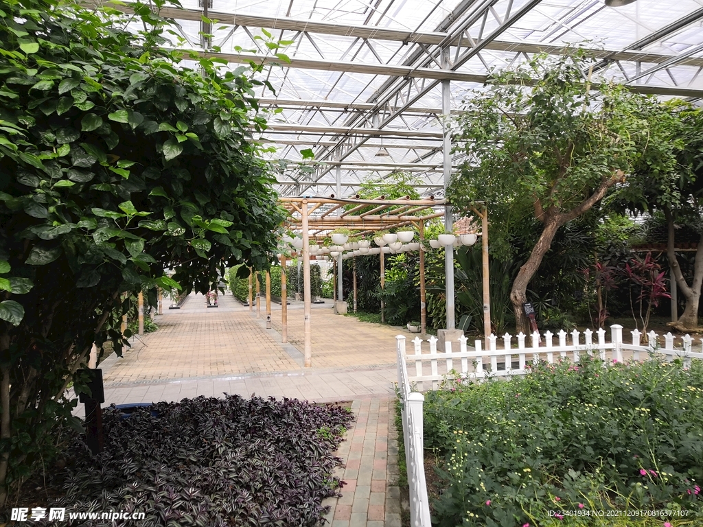 农业科技馆绿植玻璃房