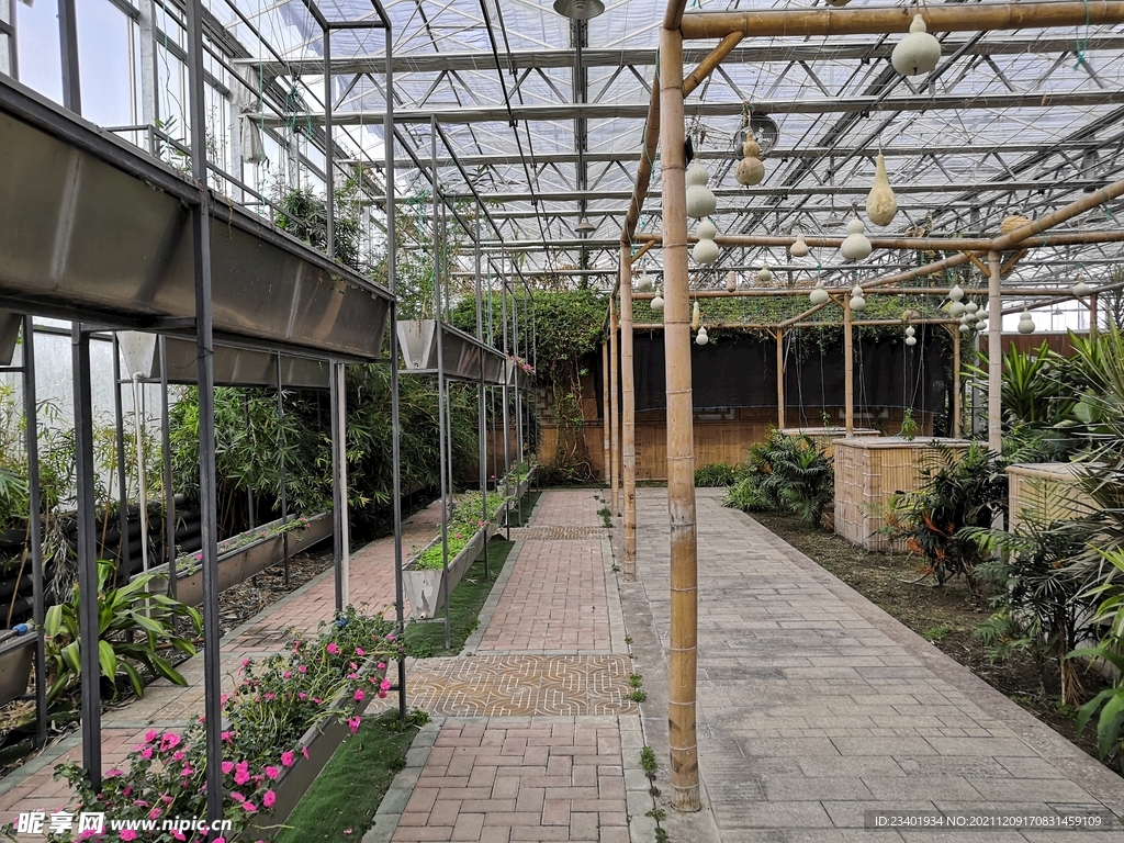 农业科技馆竹架葫芦