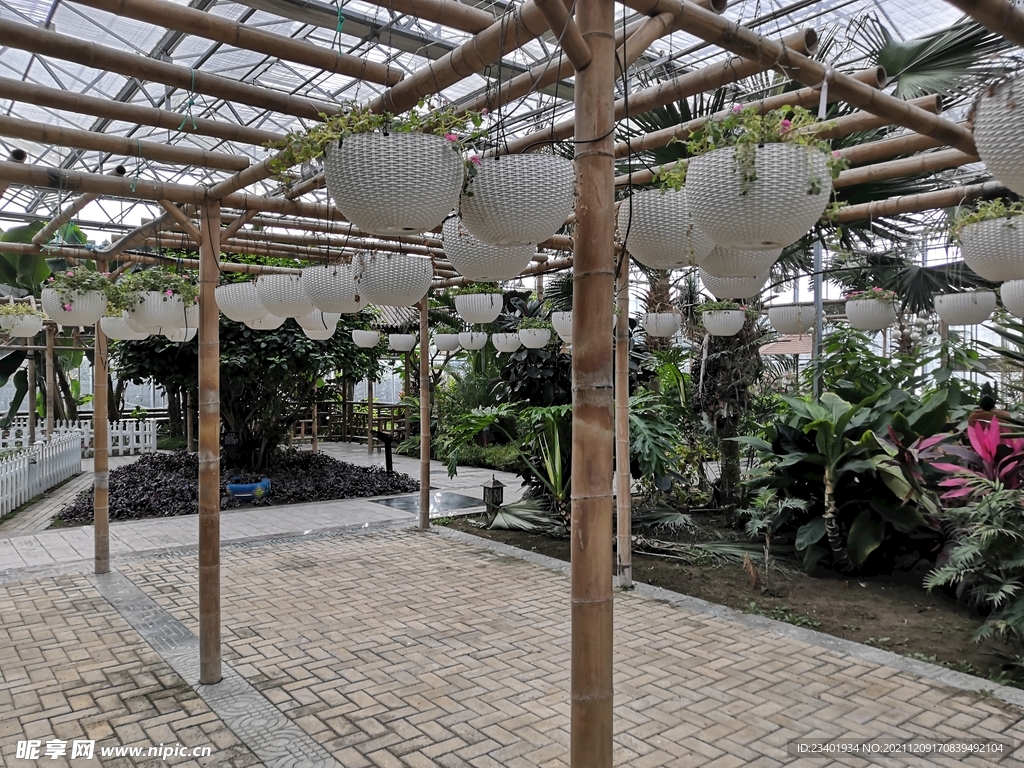 农业科技馆竹架无土栽培花卉盆栽