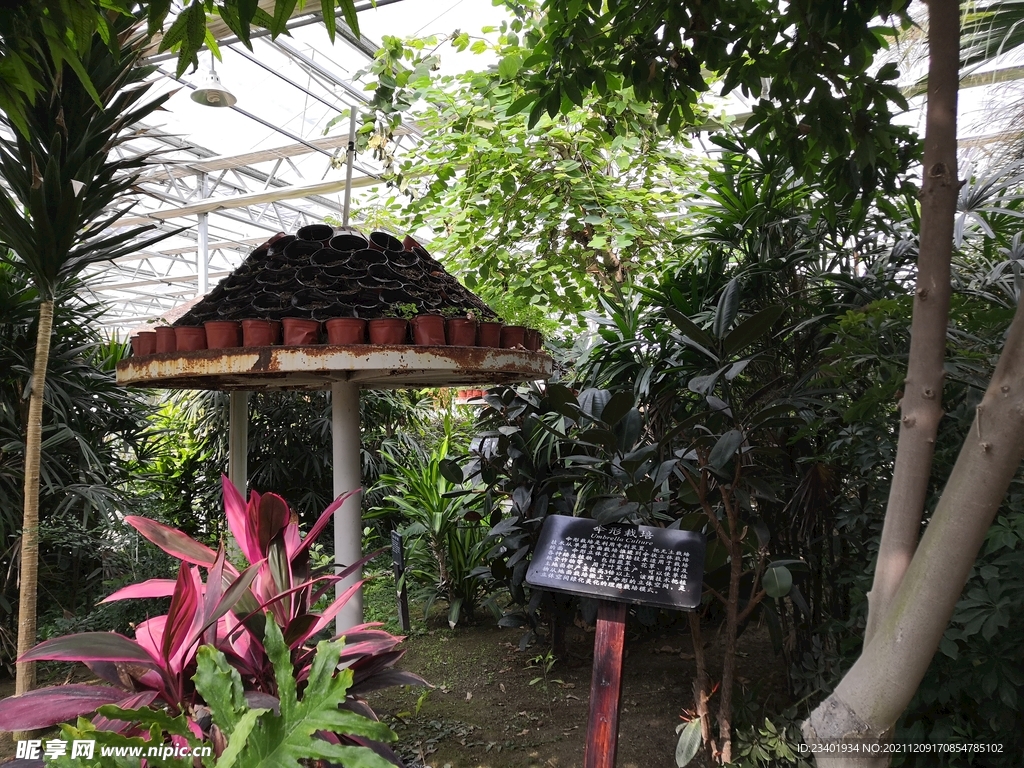 农业科技馆伞状栽培无土栽培