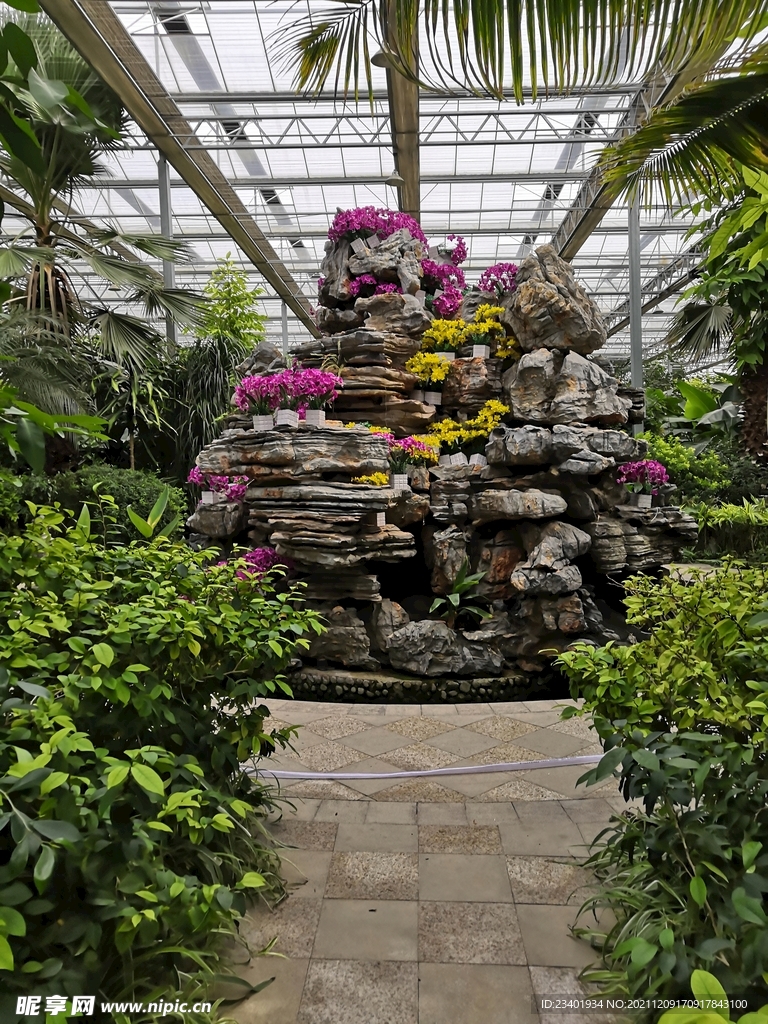 农业科技馆假山花卉