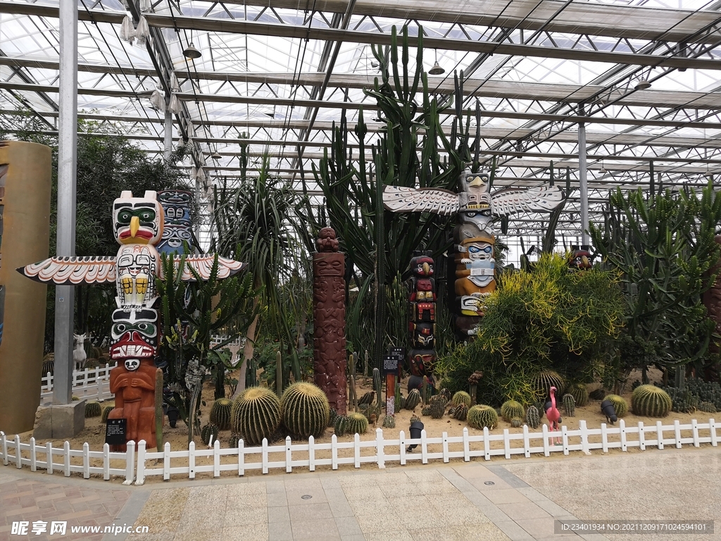 沙漠仙人掌搞怪创意鸟兽木雕造型