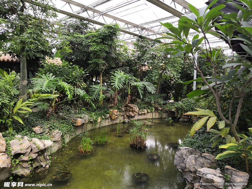 农业科技馆绿植水池小溪