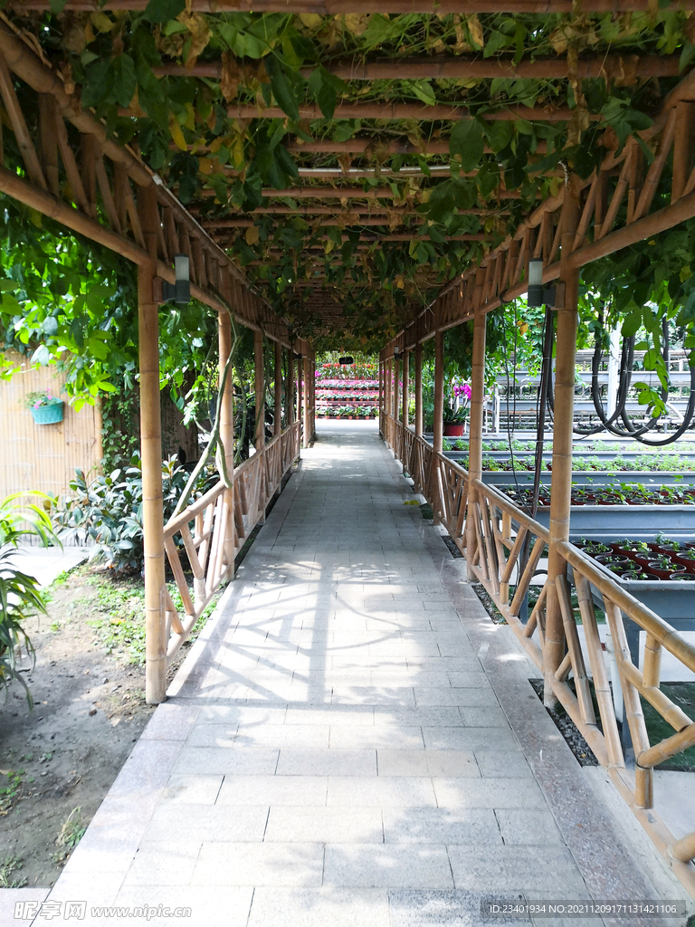 竹架绿植长廊