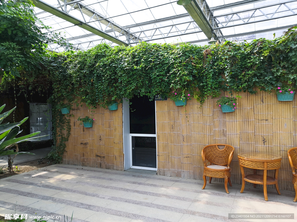 农业科技馆竹制墙壁绿藤