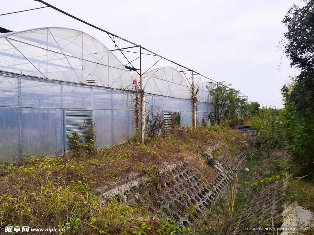 现代化科技农业大棚蔬菜