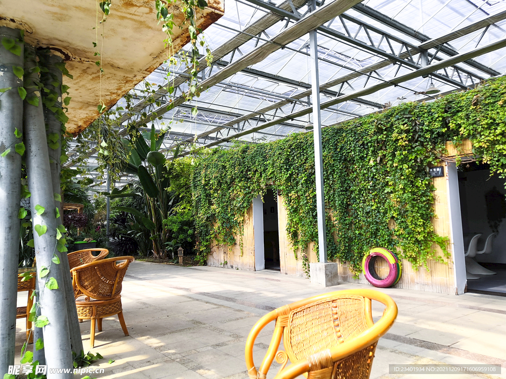 农业科技馆绿藤墙