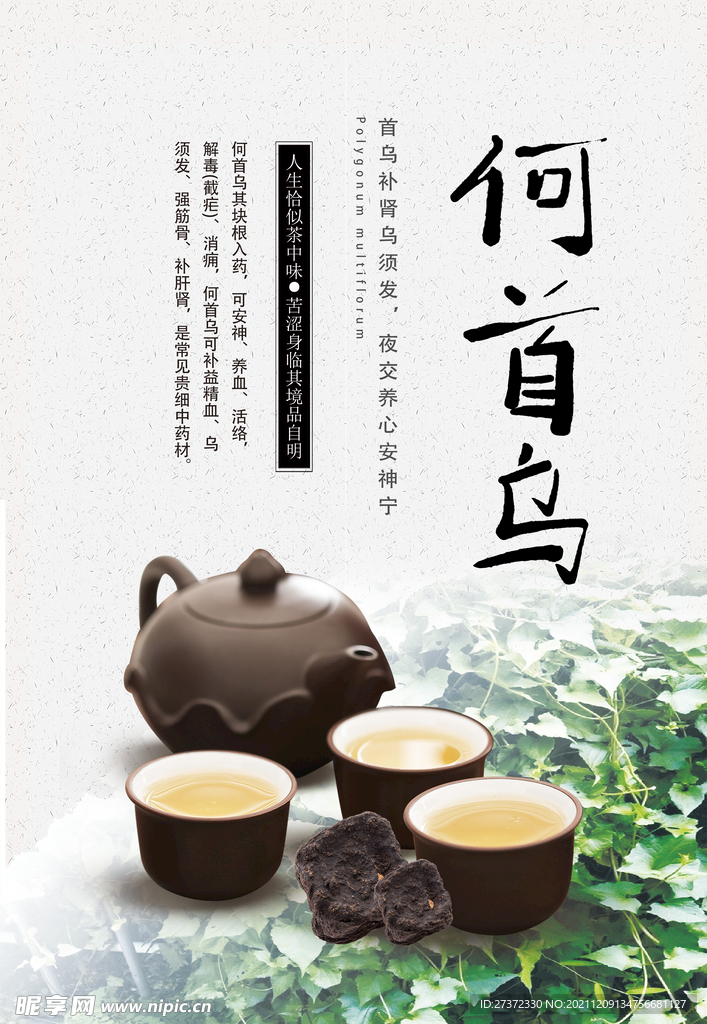 何首乌的功效