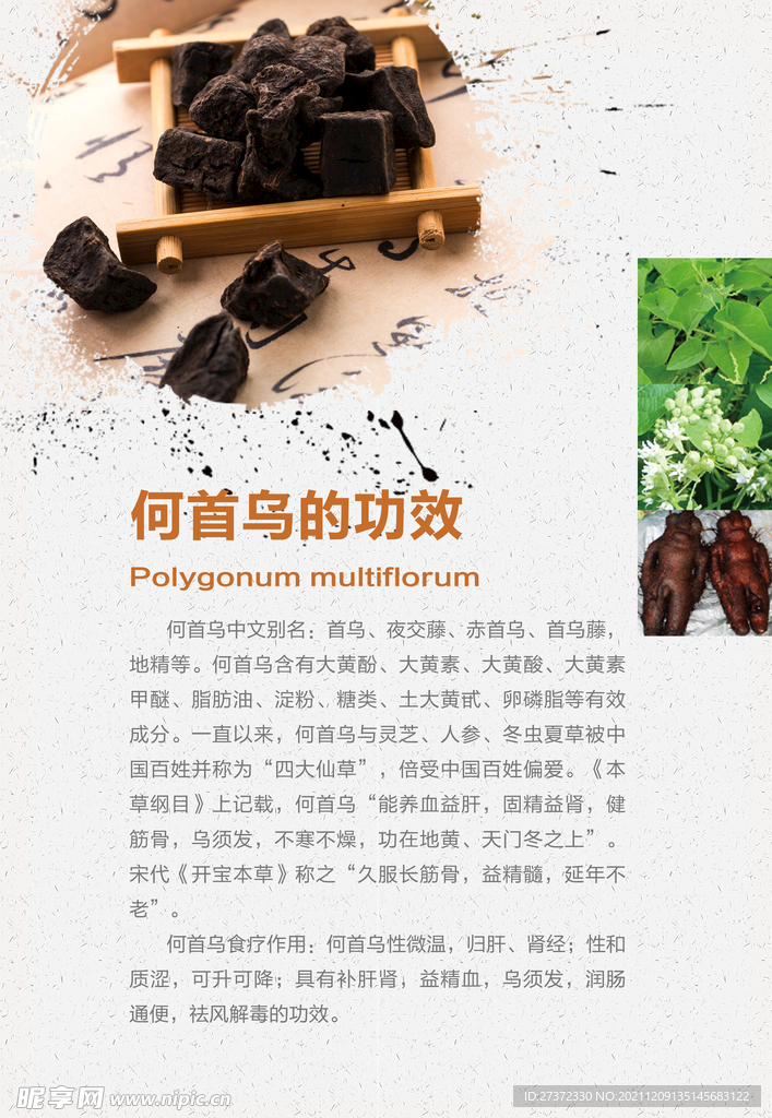 何首乌的功效