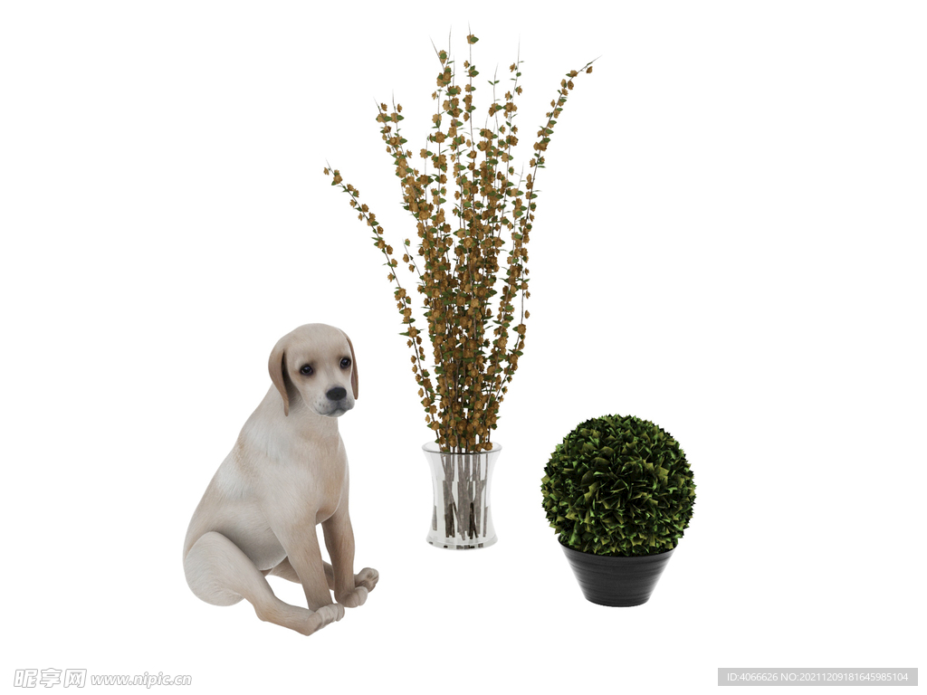 小狗植物3d模型