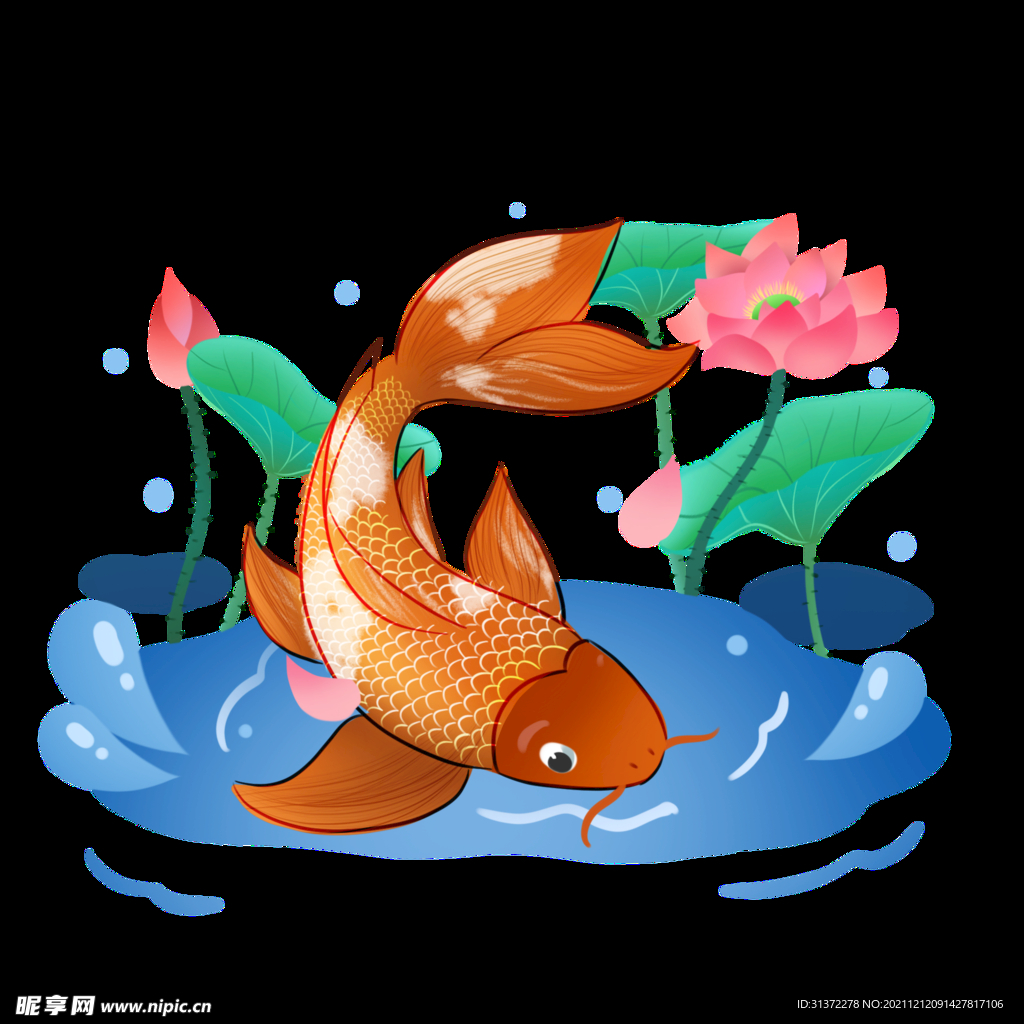 锦鲤元素图片