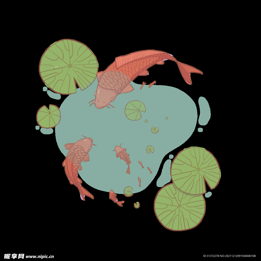 锦鲤元素图片