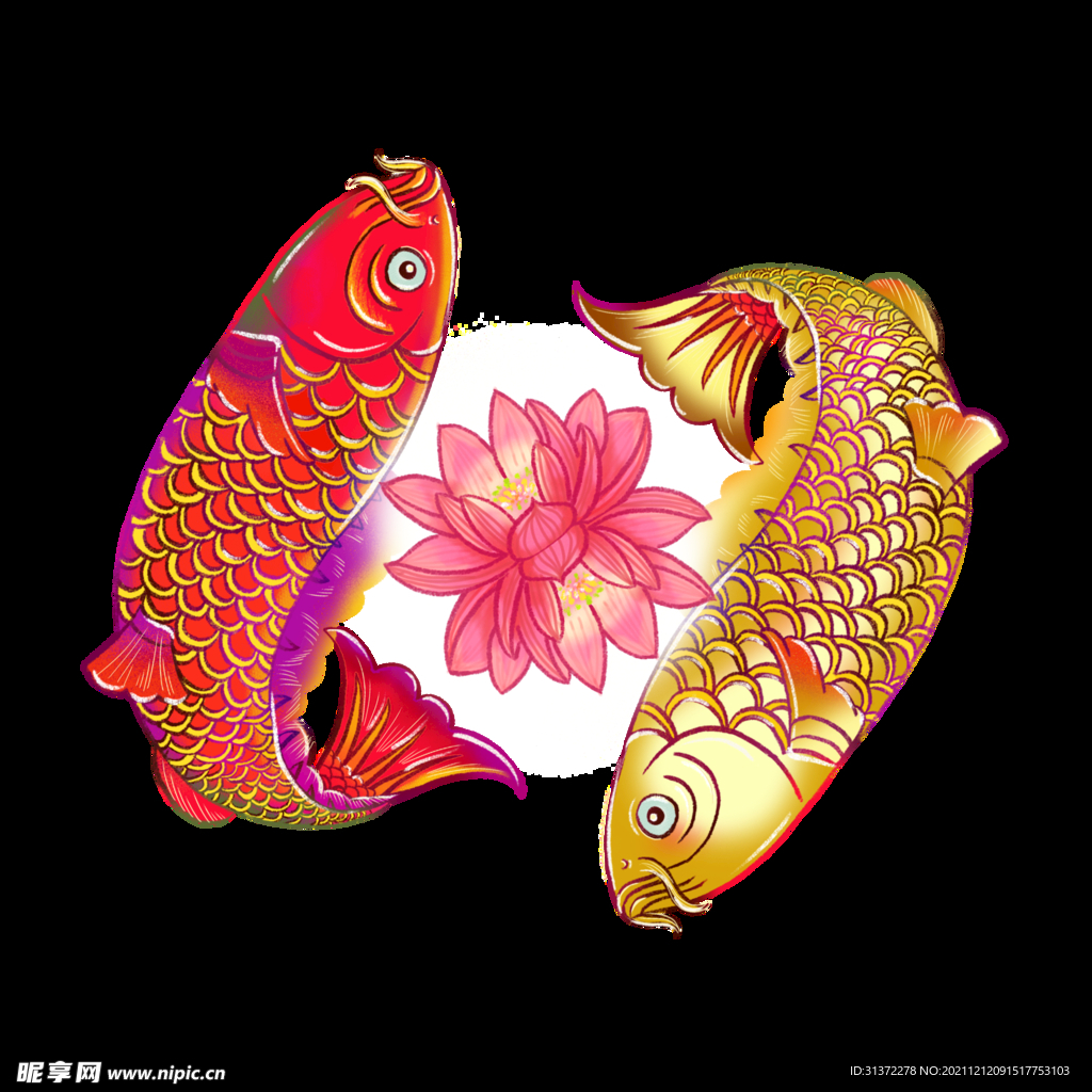锦鲤元素图片