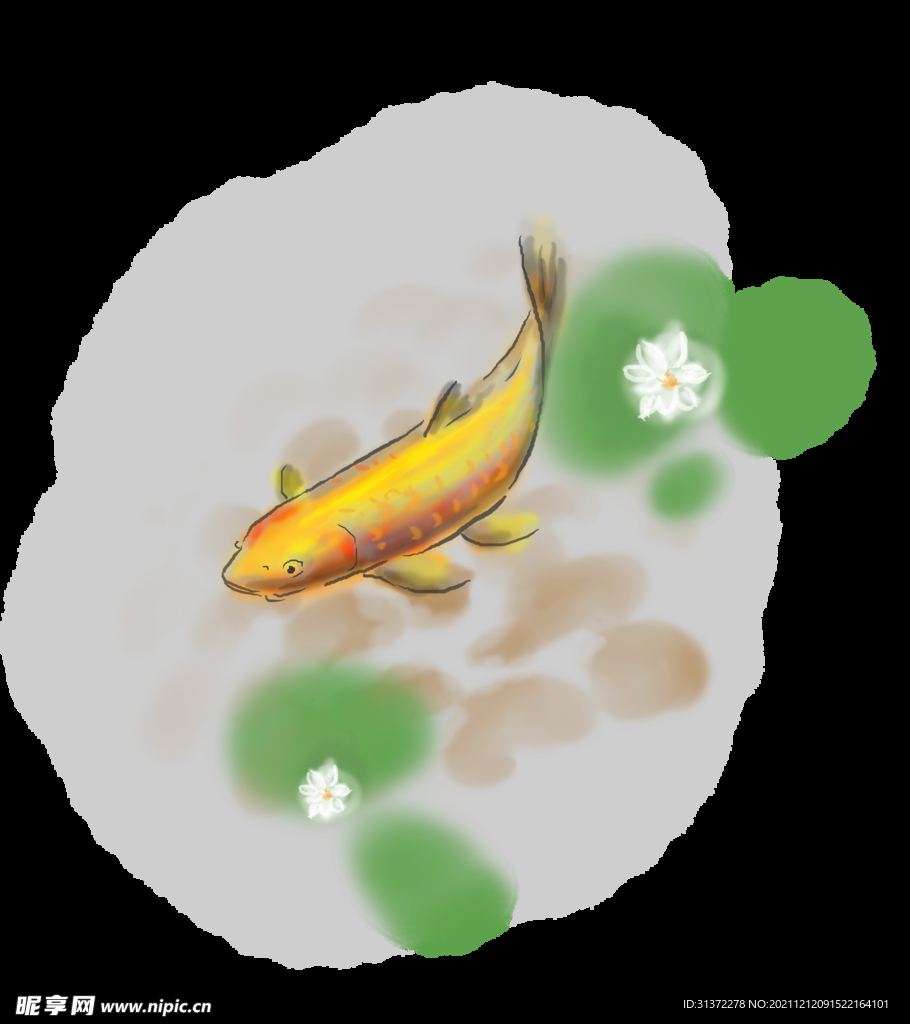 锦鲤元素图片