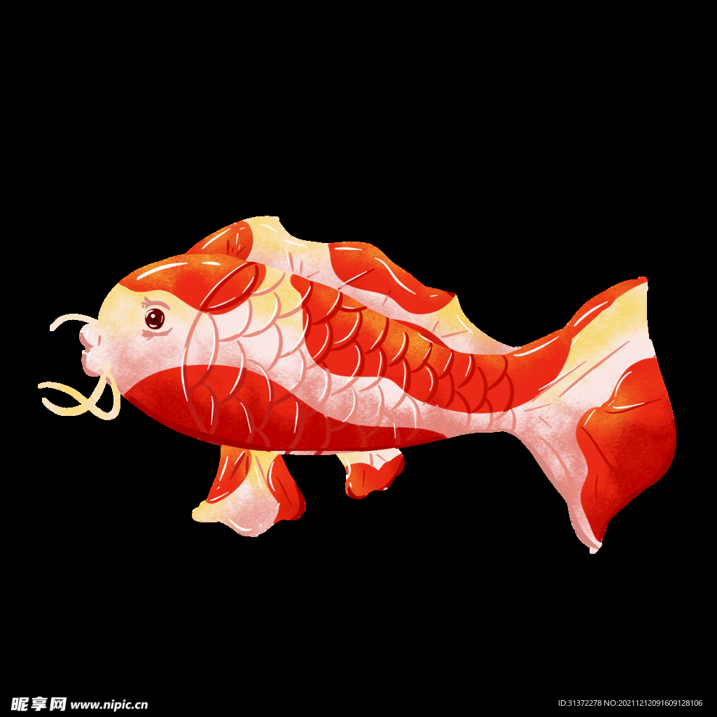 锦鲤元素图片
