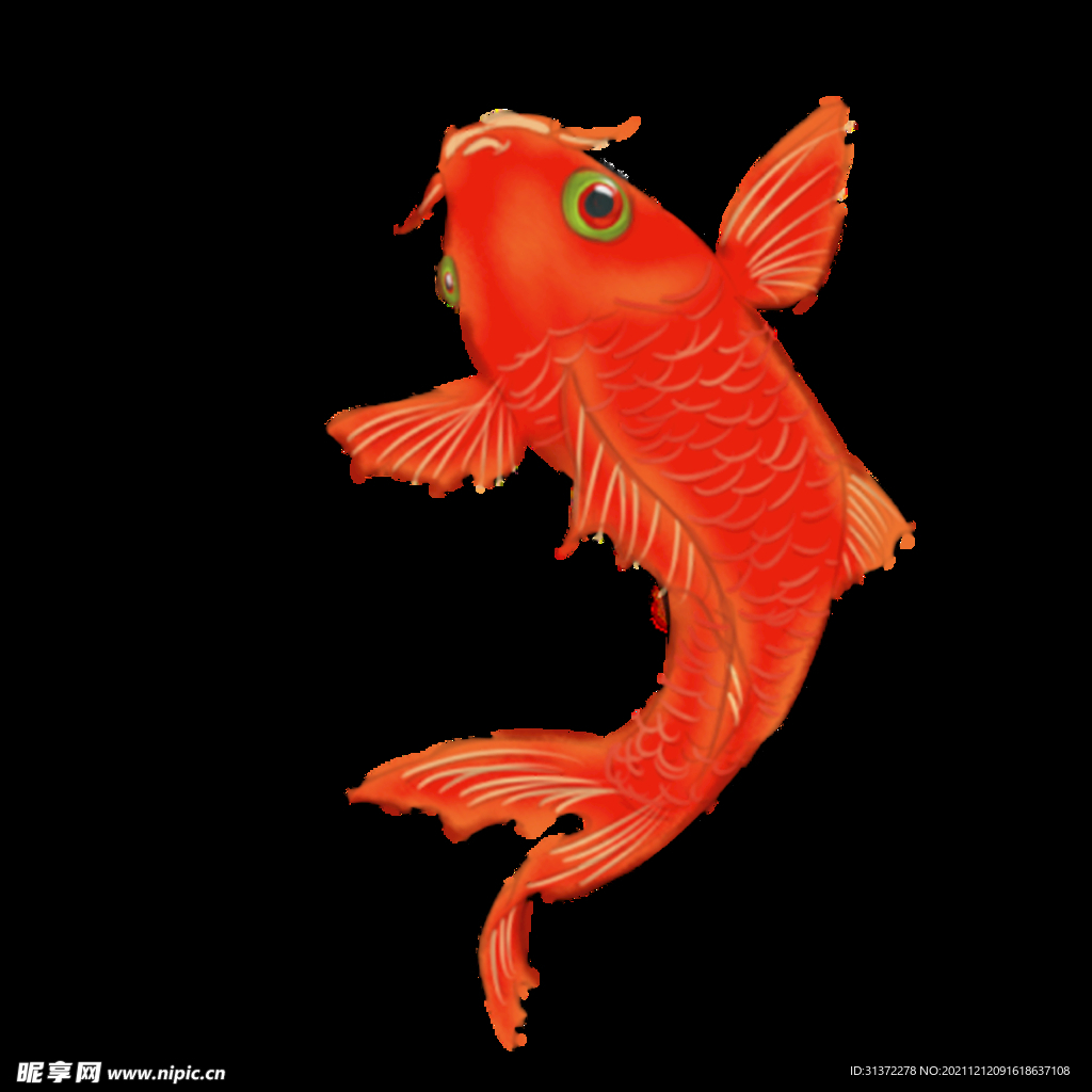 锦鲤元素图片