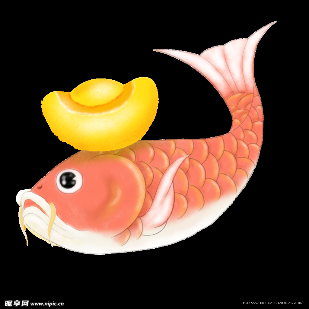 锦鲤元素图片