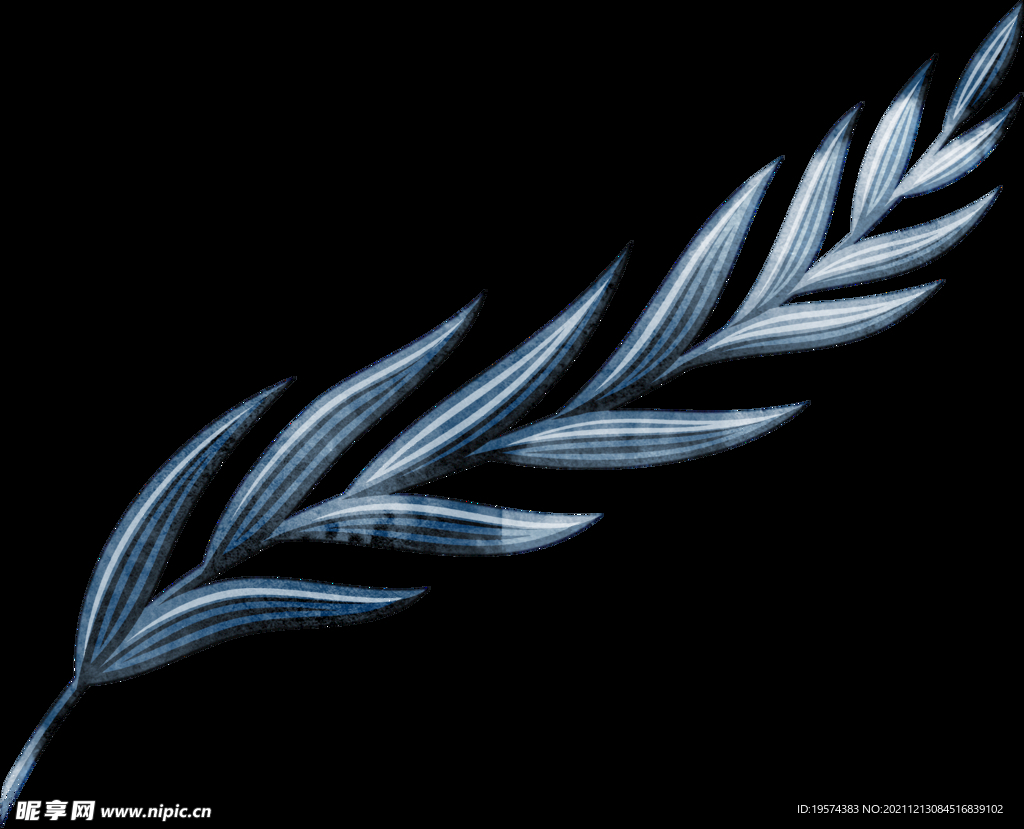 手绘羽毛线条