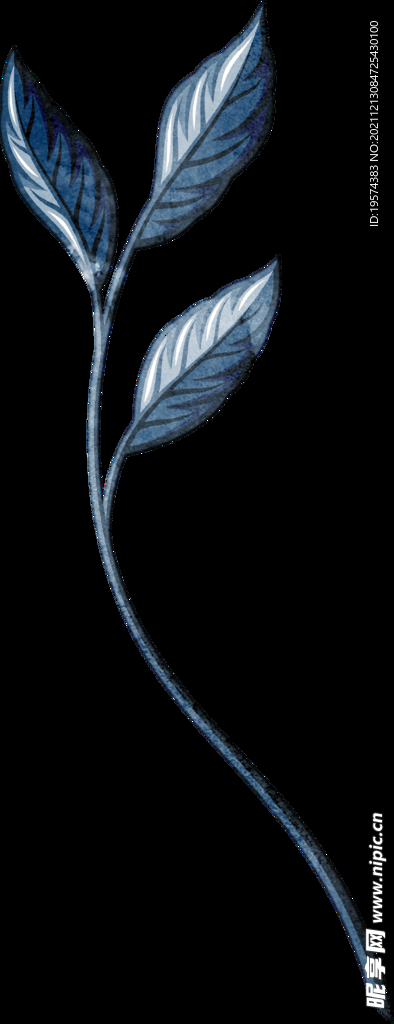 手绘叶子线条