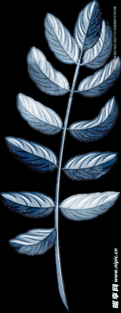 手绘叶子线条