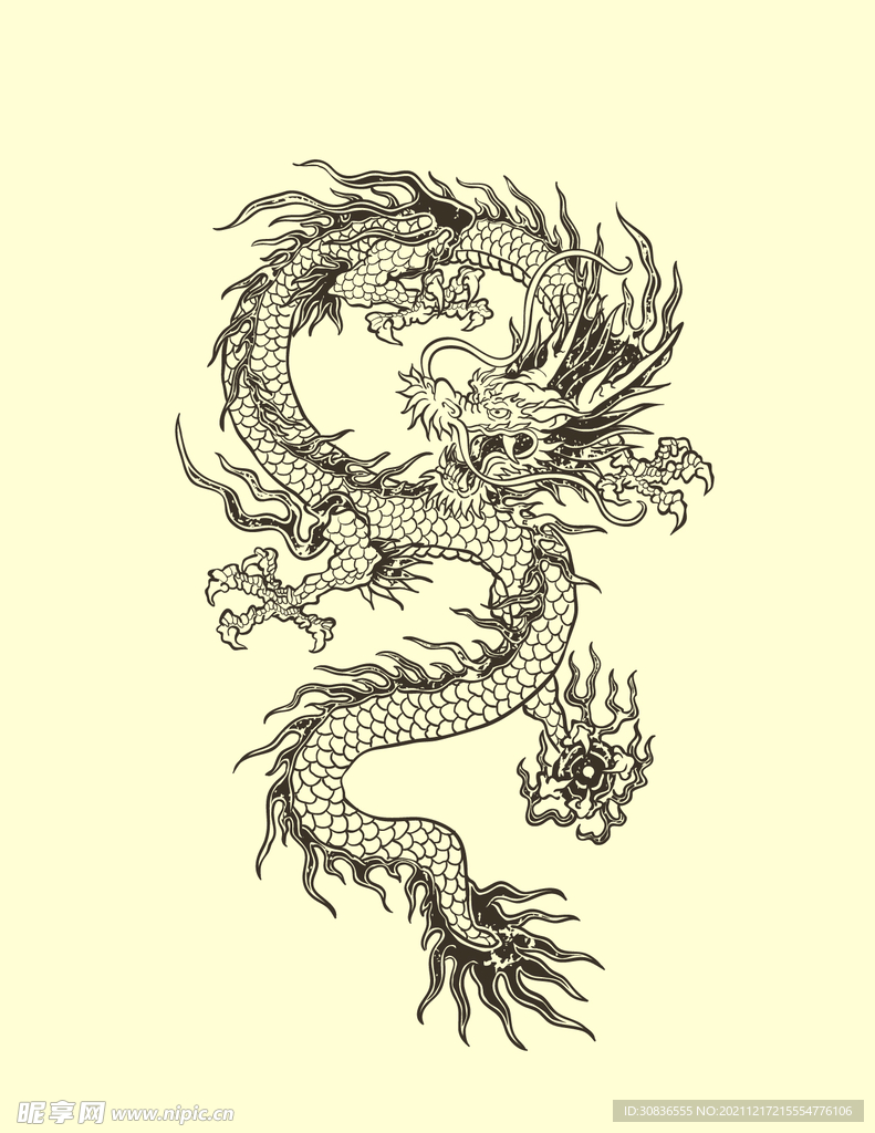 龙 